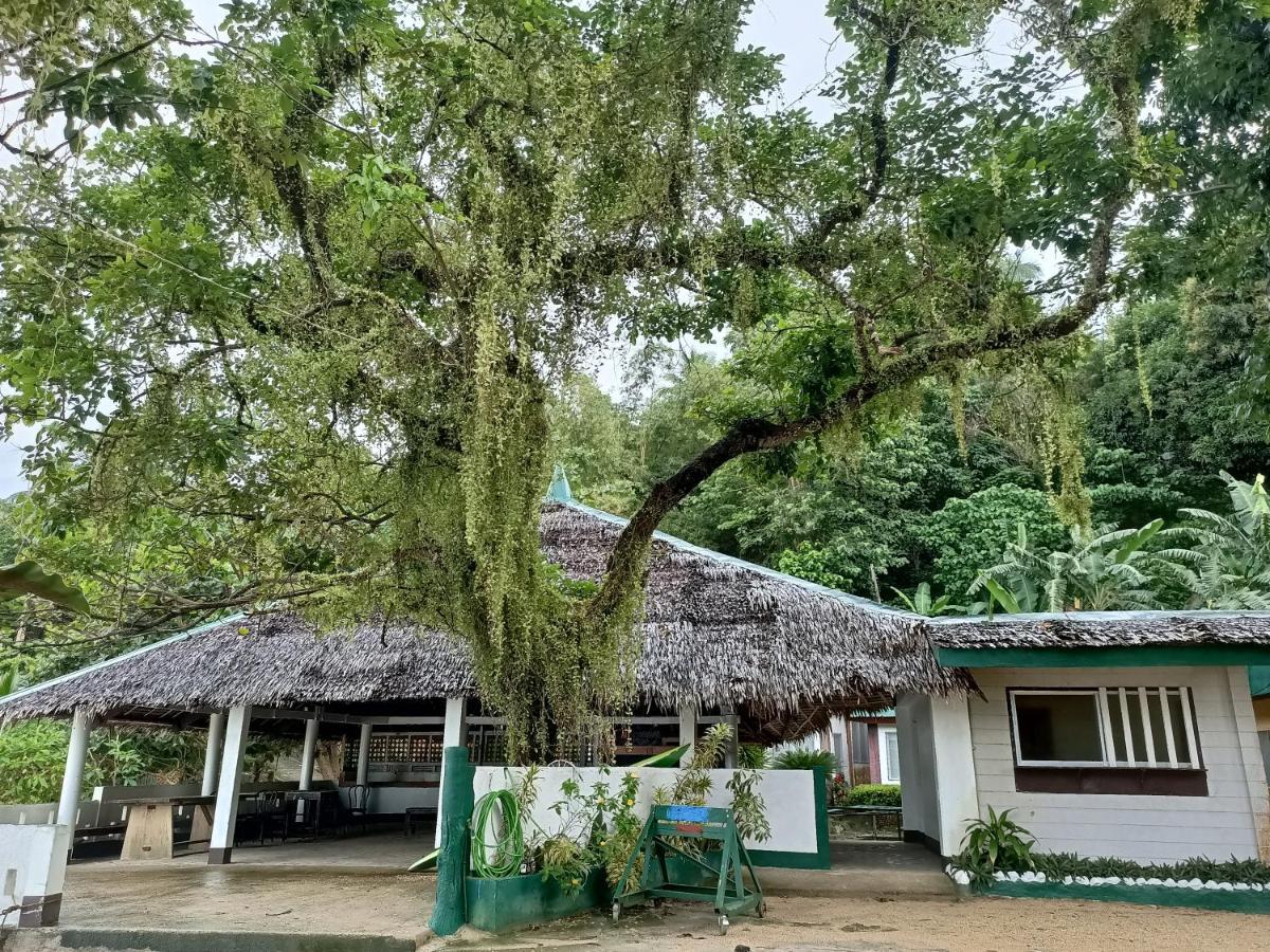 Agta Beach Resort Biliran Extérieur photo