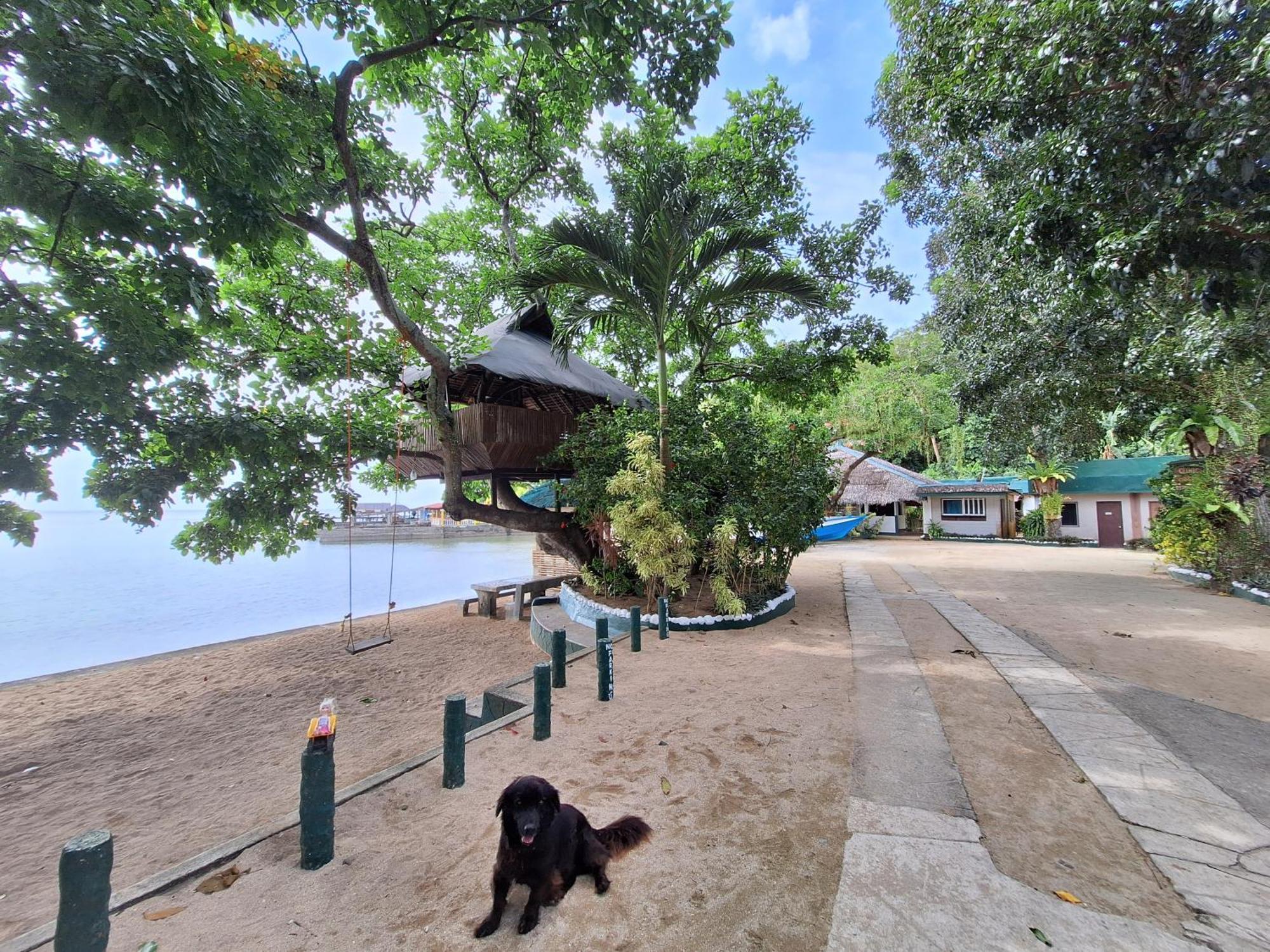 Agta Beach Resort Biliran Extérieur photo