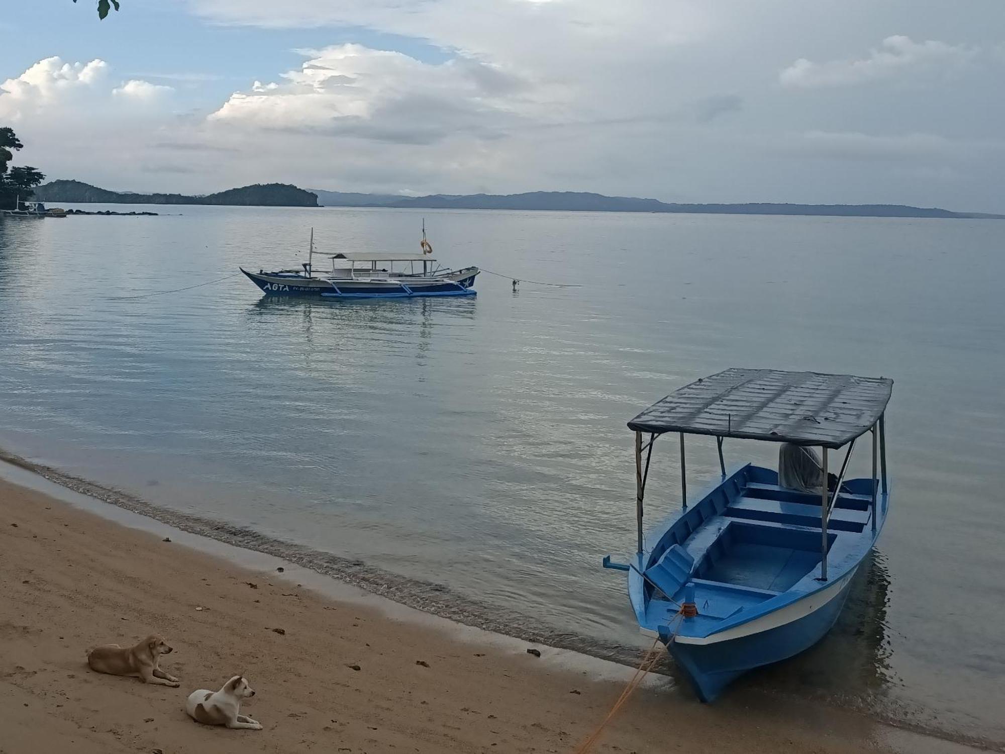 Agta Beach Resort Biliran Extérieur photo